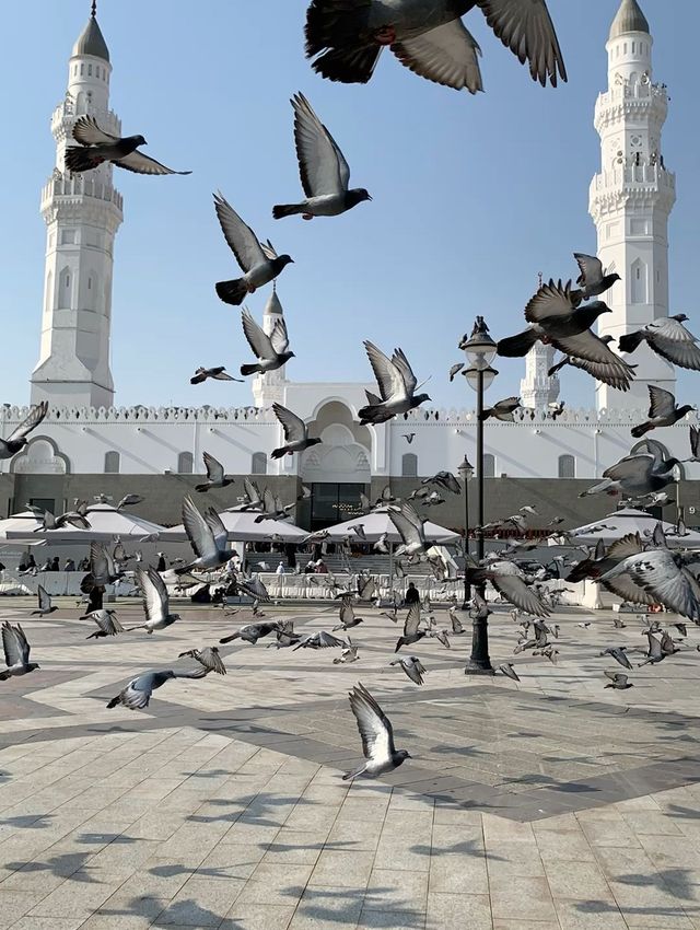 Bismillah!印尼兄弟姊妹的麥加副朝攻略,神聖之旅也能輕鬆又溫馨🌙 Bismillah!印尼兄弟姊妹的麥加副朝攻略,神聖之旅也能輕鬆又溫馨🌙