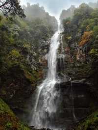 錯過等一年！成都周邊秋日彩林免費開放