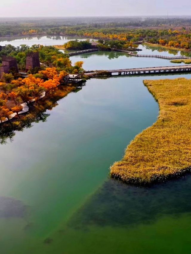 秋天必衝阿克蘇包車遊美到失語 秋天必衝阿克蘇包車遊美到失語