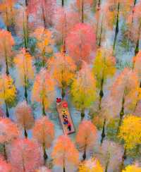 被大自然的調色盤驚艷到了