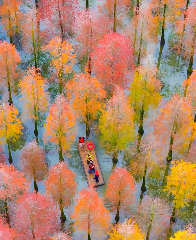 被大自然的調色盤驚艷到了 被大自然的調色盤驚艷到了