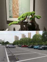 絕美酒店探店!你一推門就會尖叫啊啊啊