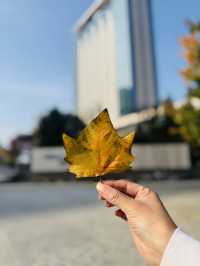任賢齊同款海景酒店