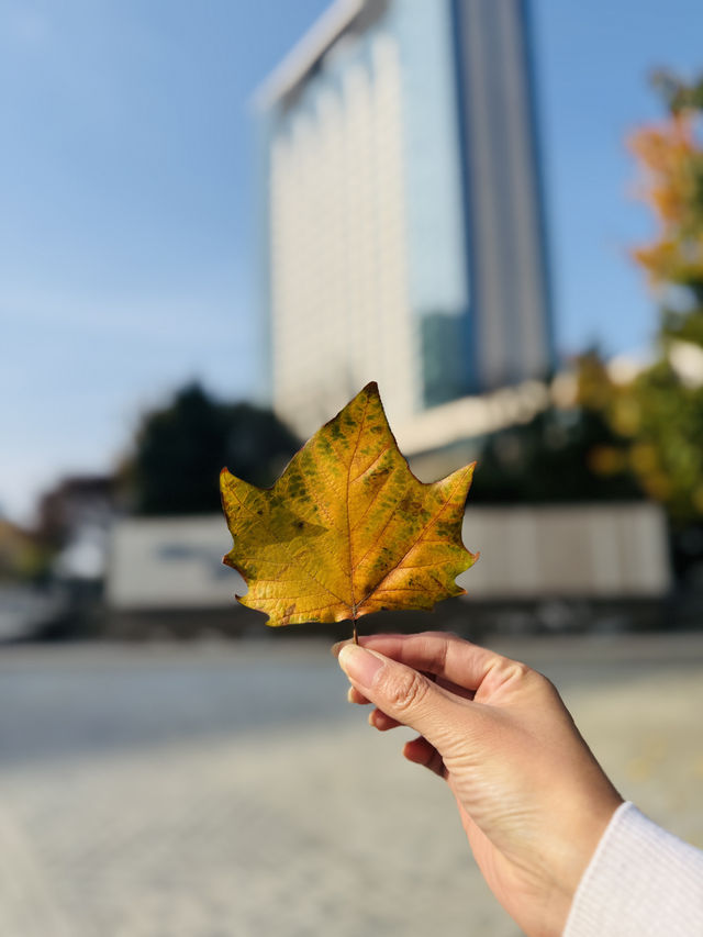 任賢齊同款海景酒店