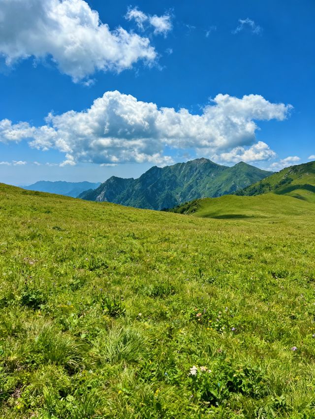 商洛3日遊 | 金絲峽與柞水溶洞經典組合・全人群適配攻略 商洛3日遊 | 金絲峽與柞水溶洞經典組合・全人群適配攻略