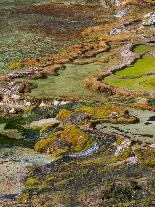 救命 川西秋日私藏秘境！99%人不知道的封神路線