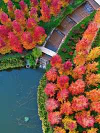 小眾玩法大公開