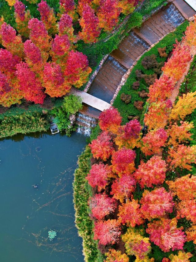 小眾玩法大公開 小眾玩法大公開