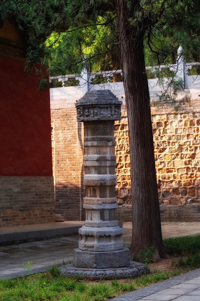 登封最佳銀杏拍攝地