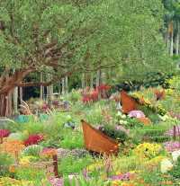 深圳仙湖花展開展啦