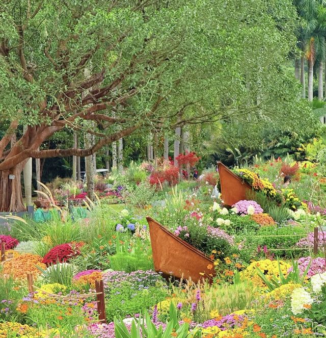 深圳仙湖花展開展啦 深圳仙湖花展開展啦