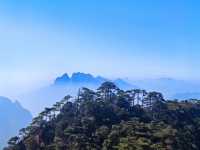 玉山秋日雲海觀景台