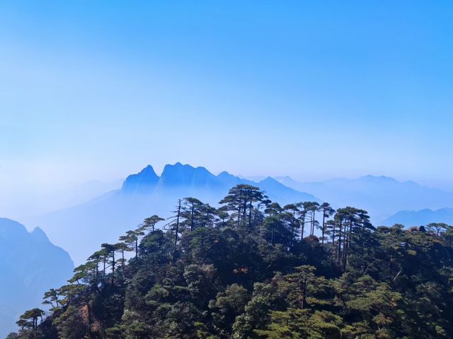 玉山秋日雲海觀景台