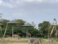 寧波野生動物園一日遊攻略!熊貓控千萬別錯過~