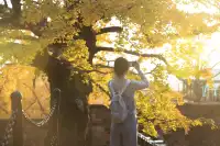 花果山千年銀杏打卡了嗎