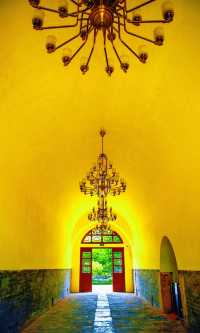 南京必打卡！紅牆銀杏出片神地，比故宮人少好看！