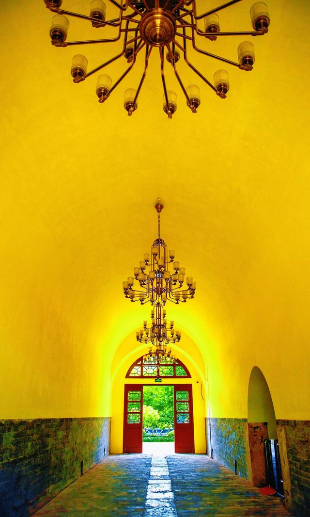 南京必打卡！紅牆銀杏出片神地，比故宮人少好看！