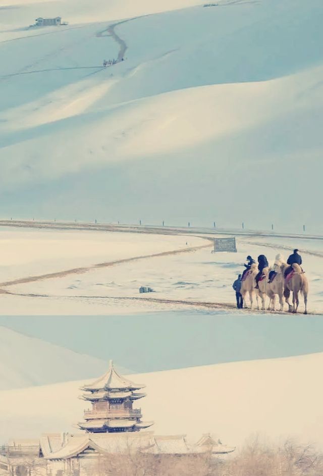 雪山下的千年古城也太震撼了吧！