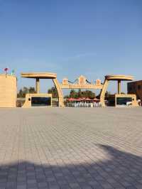 絕美秋色！在金塔胡楊林邂逅金色童話