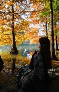 一腳跌進燕雀湖油畫森林