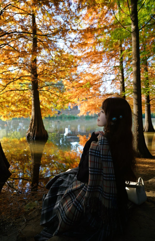 一腳跌進燕雀湖油畫森林 一腳跌進燕雀湖油畫森林