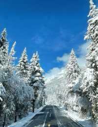 錯過等一年！川西5日遊半秋半冬仙境