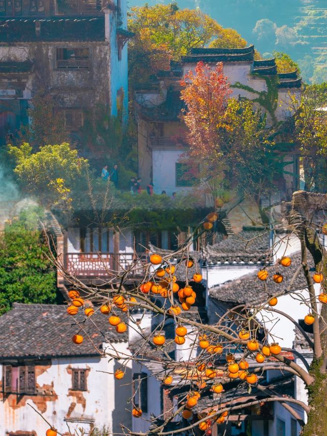 婺源秋色震撼人心！我的2天紅楓秘境打卡攻略