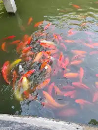 龍游石窟|衢州免費遊第四站!闖入千年迷窟