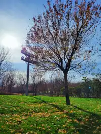 官宣石家莊的封神秋色在這裡