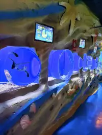 目測會成為泉州下一個No.1