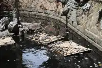 泉州2天1晚攻略 | 穿越千年的海絲之旅