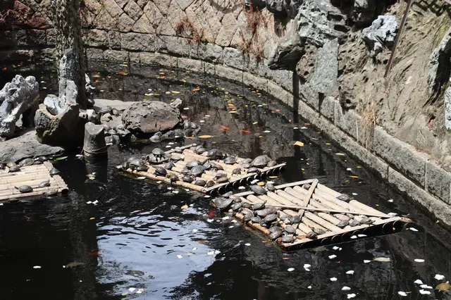 泉州2天1晚攻略 | 穿越千年的海絲之旅