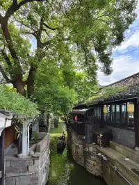 原相機live煙雨江南在紹興具象化了