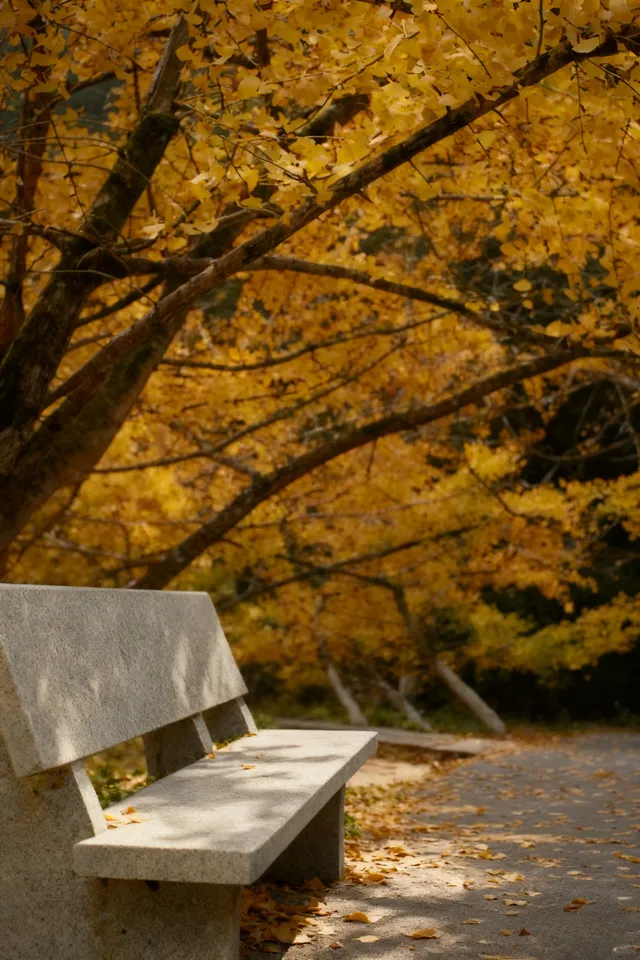 南雄·帽子峰 南雄·帽子峰