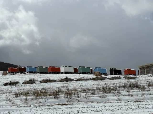 不是北歐，勝似北歐！雪後樺皮嶺