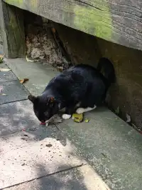 六小時速通黃果樹·自駕版