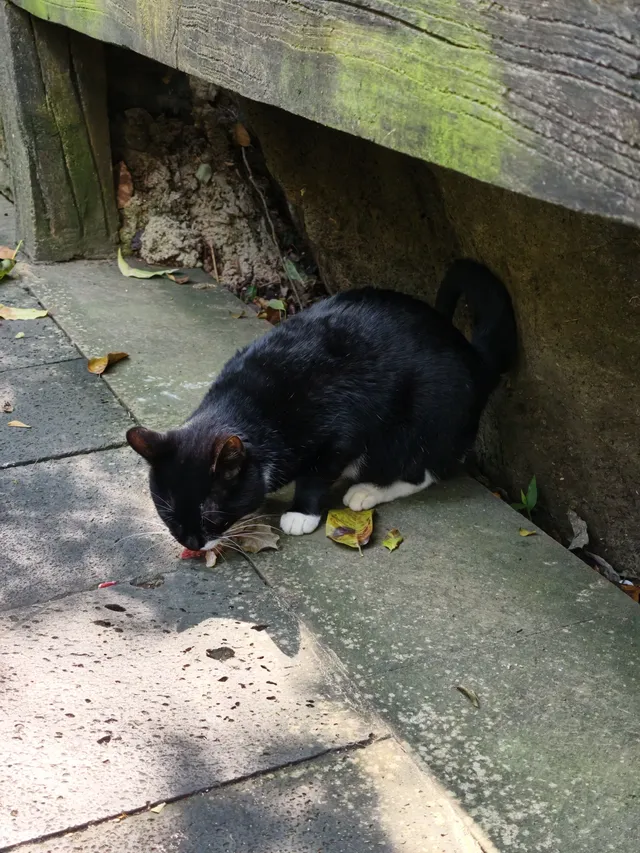 六小時速通黃果樹·自駕版 六小時速通黃果樹·自駕版