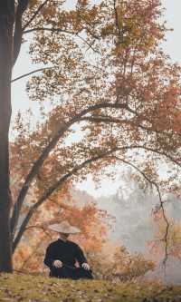 接下來的韶關,將是上帝打翻的調色盤!