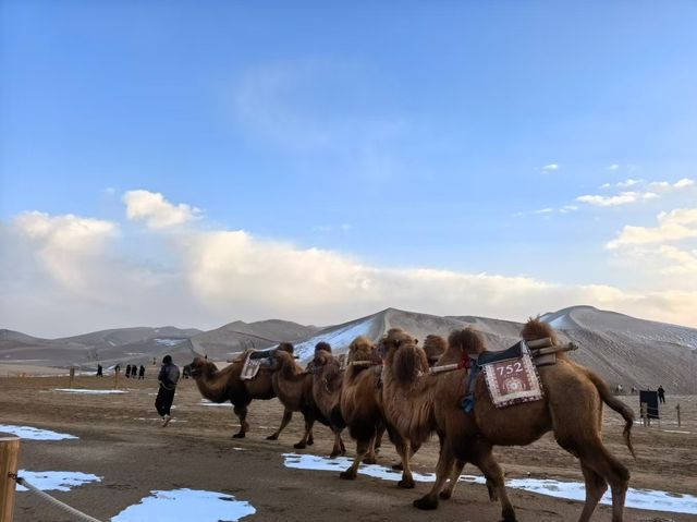 4天秋遊酒泉 美景全打卡攻略 4天秋遊酒泉 美景全打卡攻略