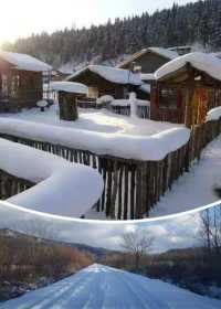 帶娃追雪天花板！雪谷這家美宿承包冬日快樂