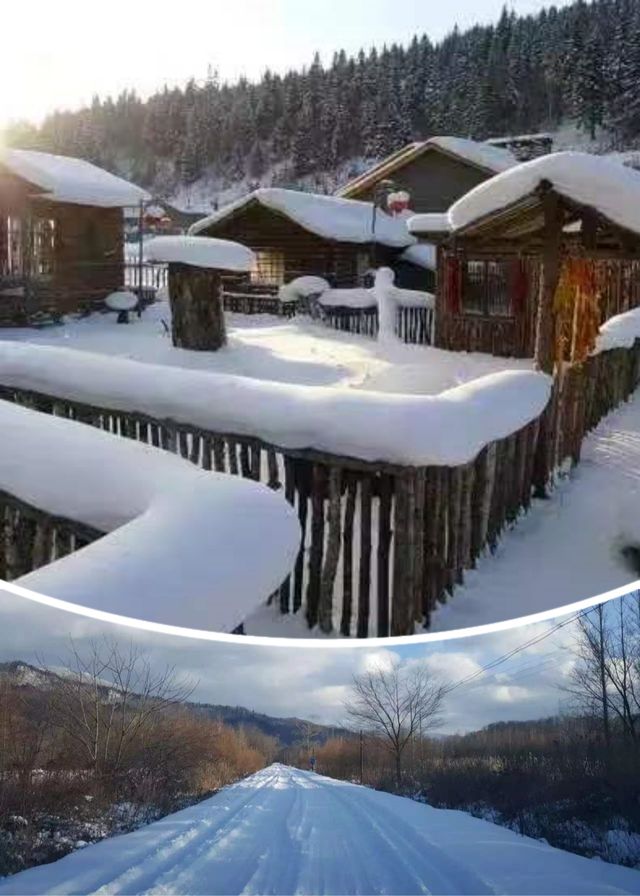 帶娃追雪天花板！雪谷這家美宿承包冬日快樂