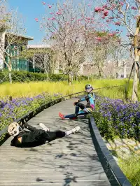 深圳又多一個週末遛娃、海邊徒步的好去處