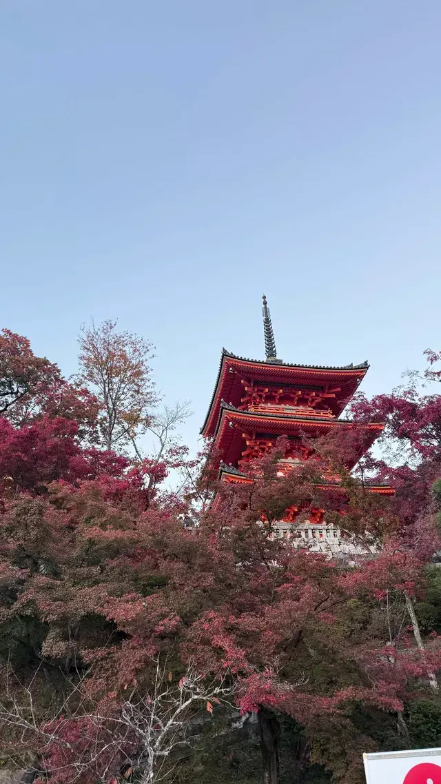 清水寺 清水寺