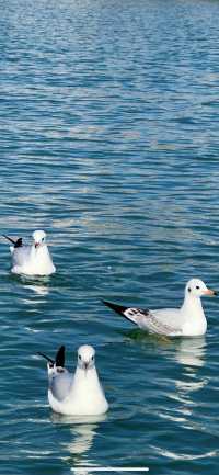 在陸渾,打撈一場盛大的日落