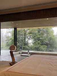 這一站躲進了青城山的森林氧吧