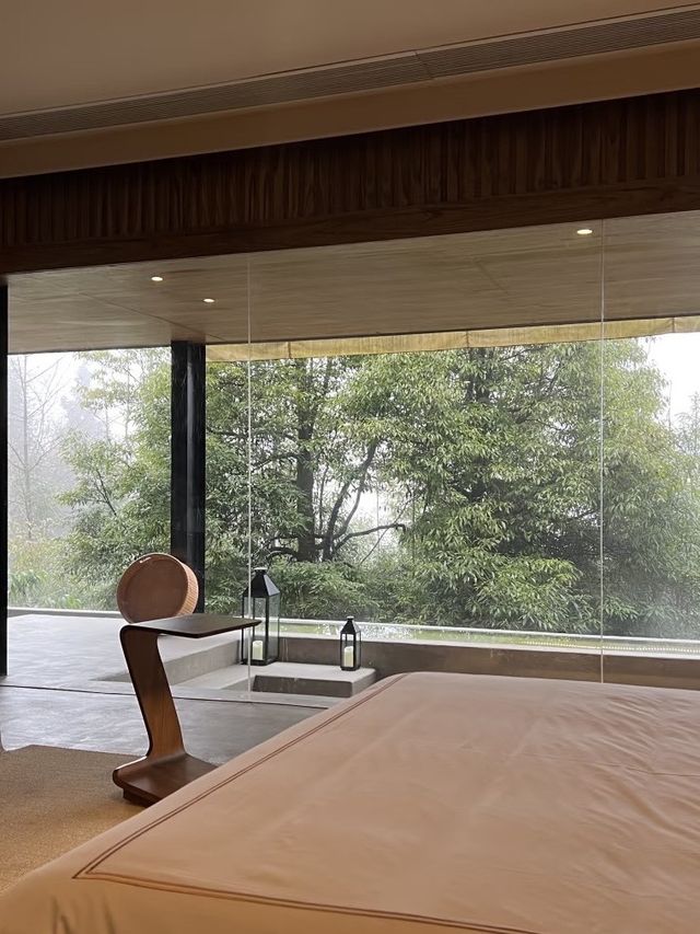 這一站躲進了青城山的森林氧吧