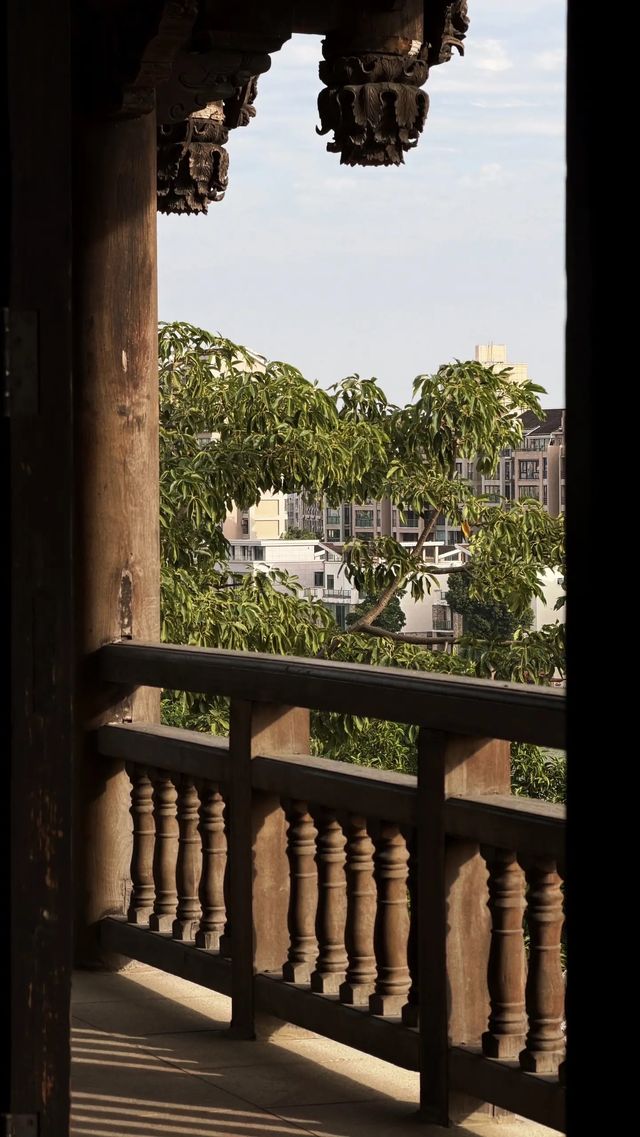 西湖邊隱秘觀景台，一些西湖的其他角度