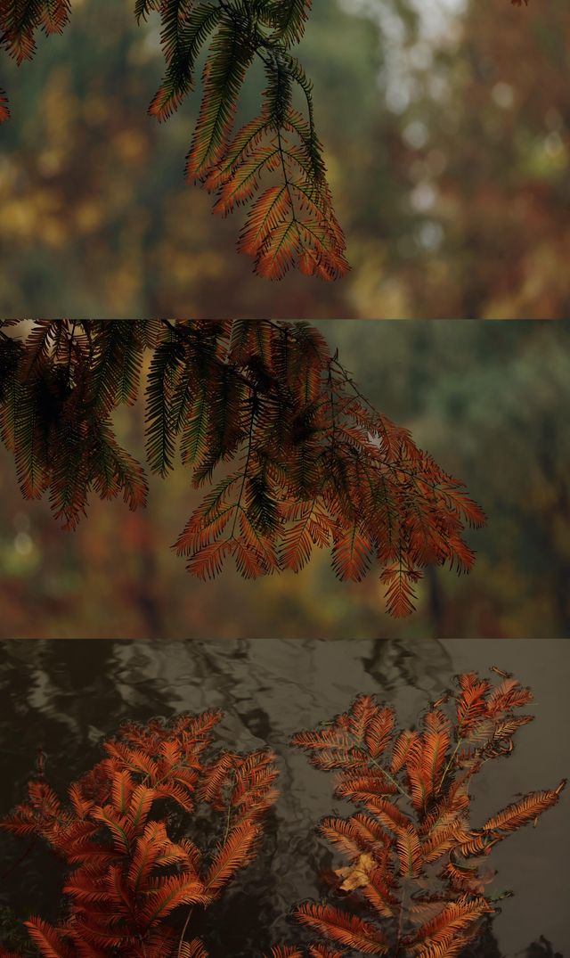 浐灞濕地的藍與紅美到窒息