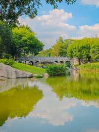 去一萬次都不夠！深圳我最愛的治癒系公園！