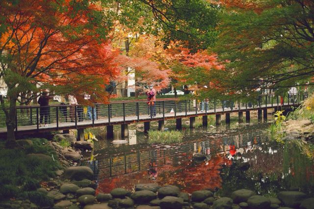 上海小京都這片楓葉階梯美到窒息!人少速來! 上海小京都這片楓葉階梯美到窒息!人少速來!